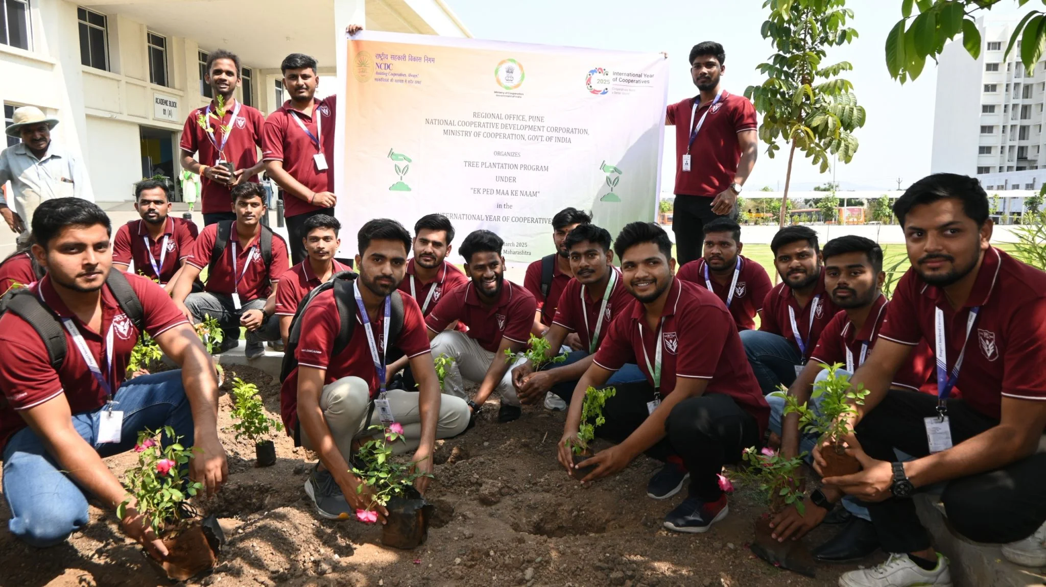 Tree Plantation